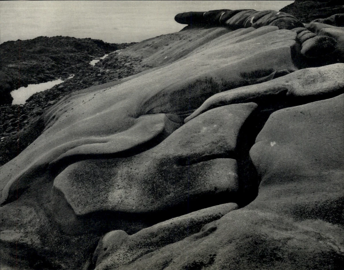 Edward Weston Art Photographs for sale | eBay