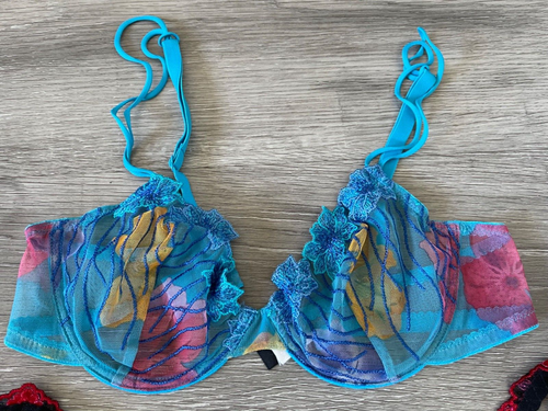 2 COSABELLA ITALY & CHANTAL THOMASS FLORAL LACE BRA BURLESQUE 34B LINGERIE - Picture 5 of 8