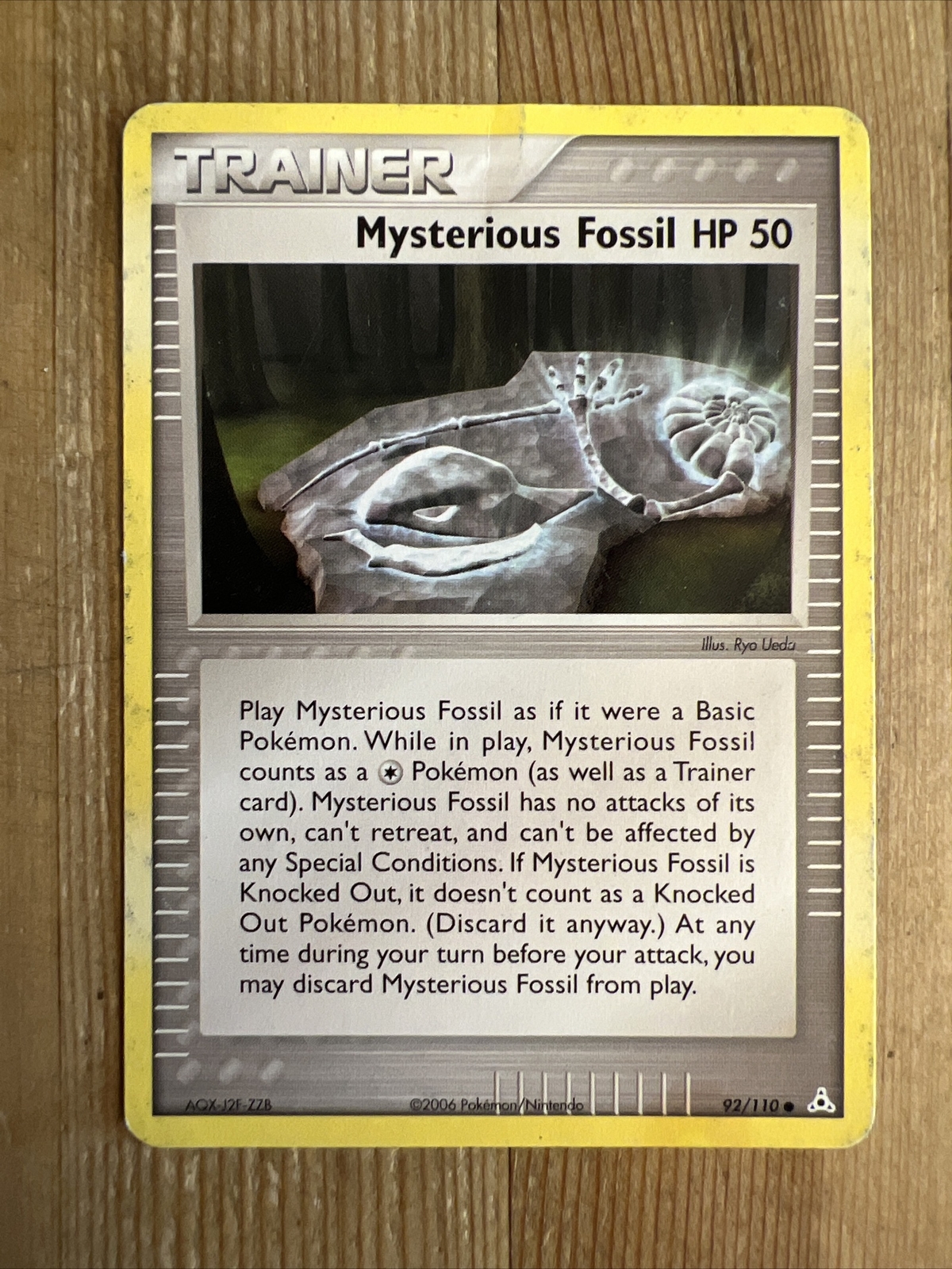 Mysterious Fossil