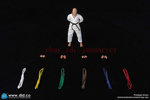 Did Sf80001 1/12 Simply Fun Series–The Karate Player Action Figure New Toy - Picture 8 of 8