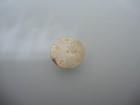 Foto 9 di 9