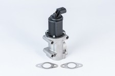 BorgWarner (Wahler) AGR Ventil 710952R +60.98€ Pfand für Z02 A04 GTC VECTRA OPEL