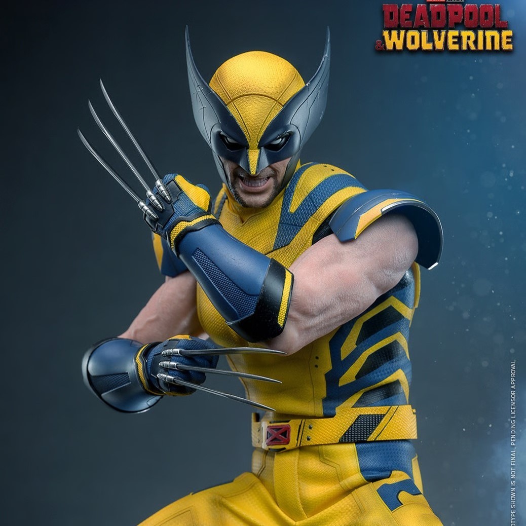 1/6 Marvel Deadpool & Wolverine: Wolverine Figure Hot Toys 913487