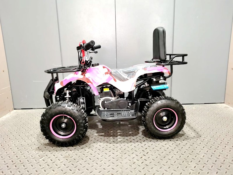 WILDFORCE49 49CC FARM QUAD BIKE ATV BUGGY KIDS 4 WHEELER HUASHENG