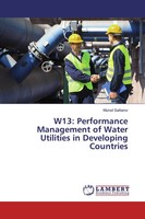 W13: Performance Management Of Water Utilities In Developing Countries Sattarov
