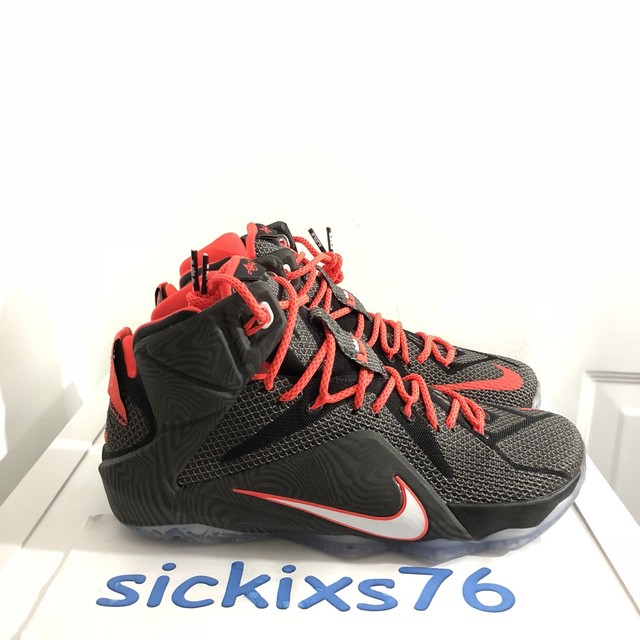 lebron james shoes size 9.5