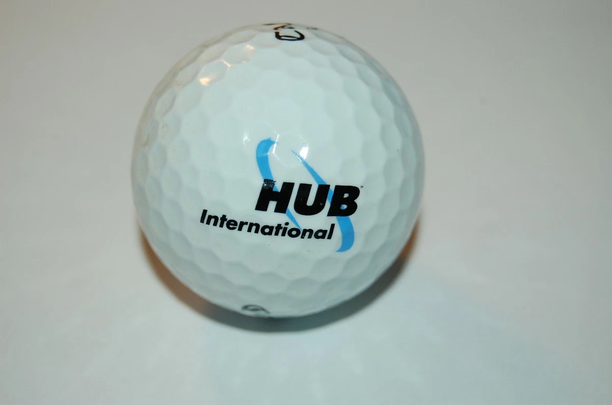 Hub International Logo