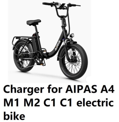  AC/DC Adapter battery Charger for AIPAS A4 M1 M2 C1 C2 electric bike