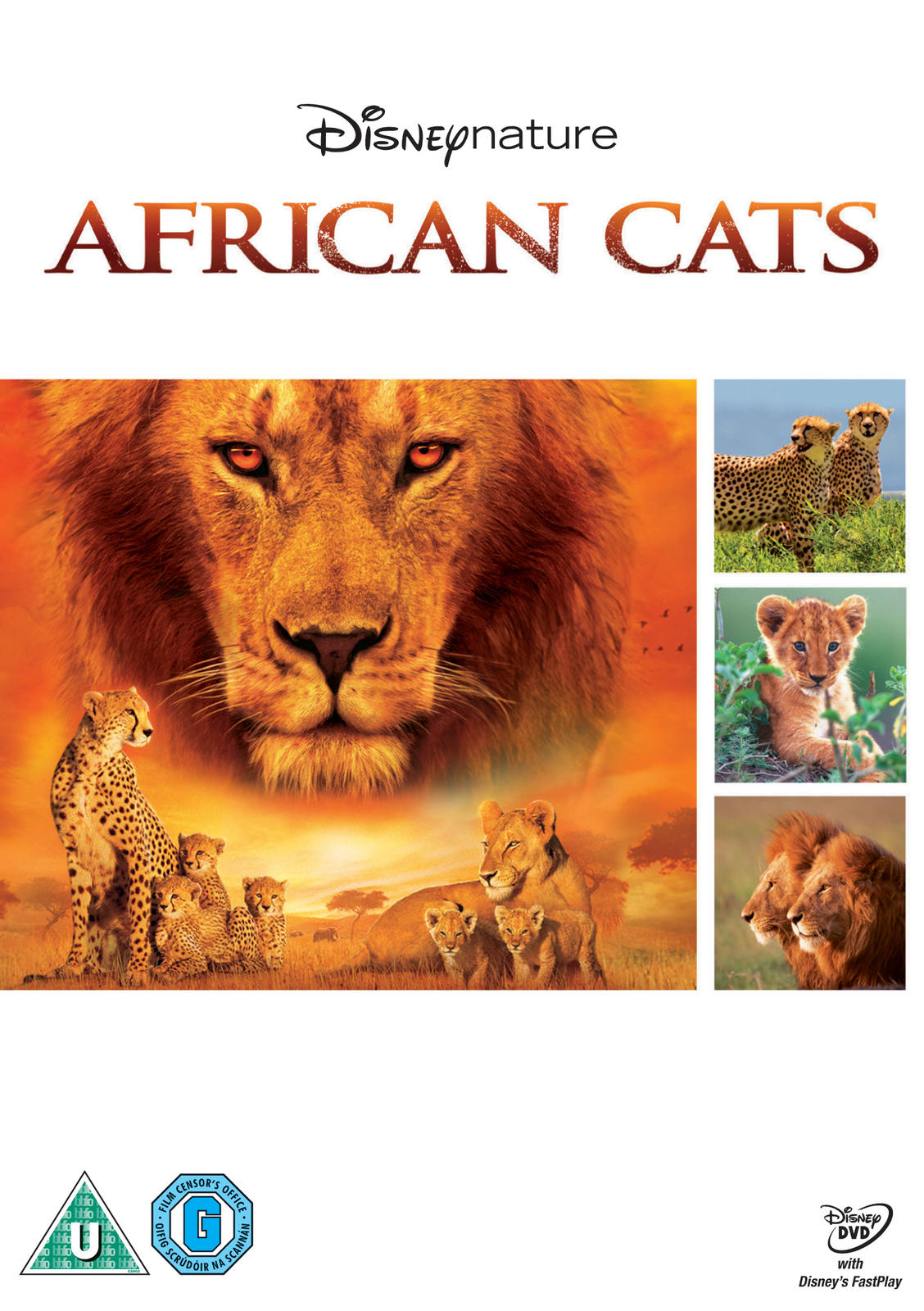 African Cats (DVD)