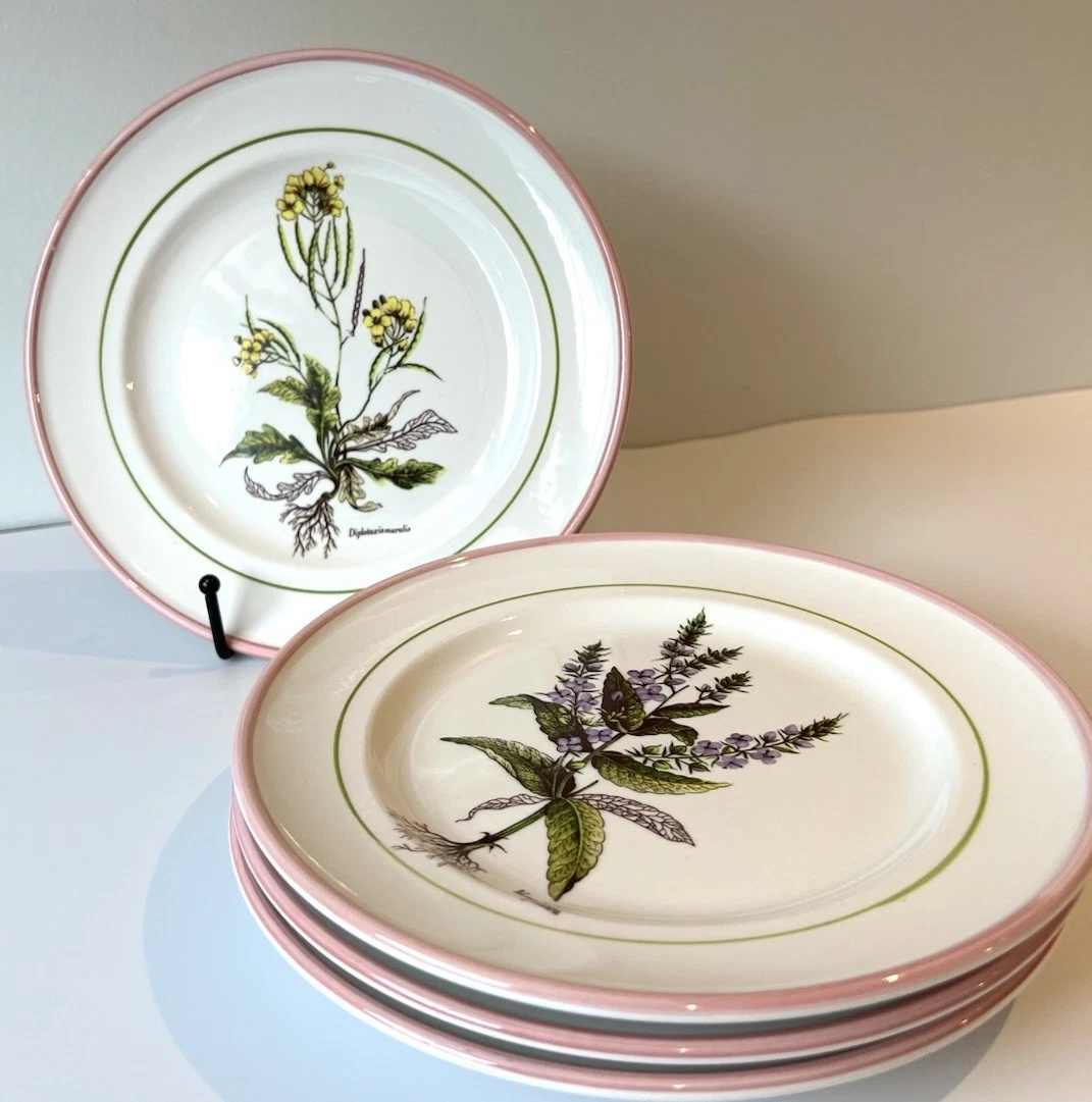 la primula products for sale | eBay