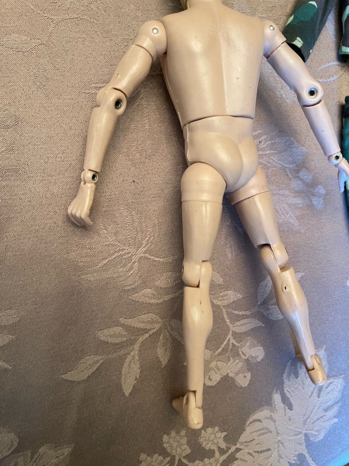 Picture 24 of 24