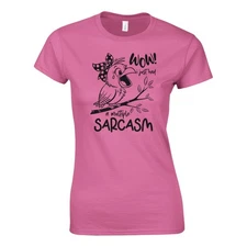 Wow! I Just Had a Multiple Sarcasm Women's T-shirt