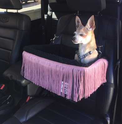 black dog car seat