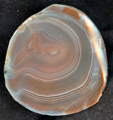 Agate/agates Botswana agate from Botswana - with beautiful color & banding - TOP!!!