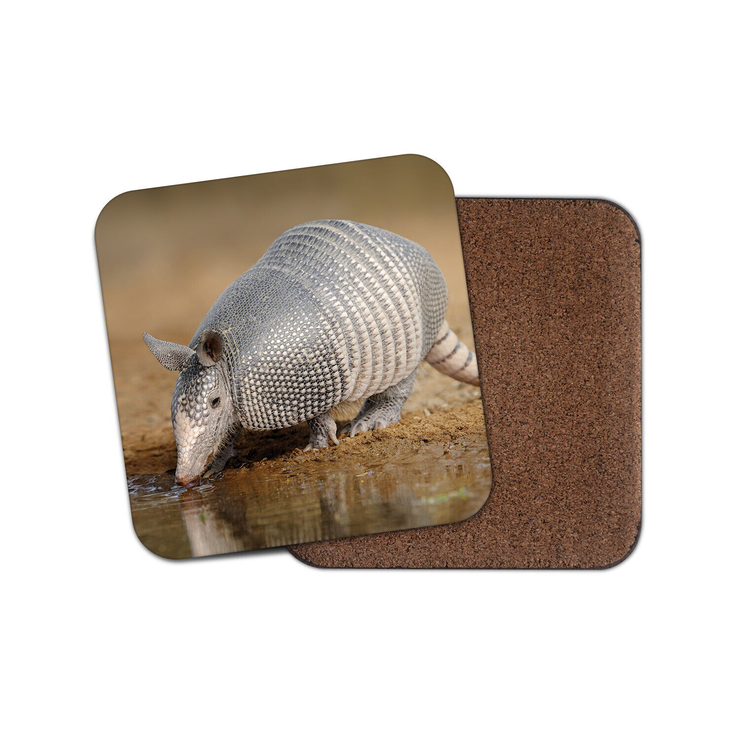 Texan Armadillo Desert Coaster - Zoology Animals Fun Cool Cute Zoo Gift #15712 | eBay Texan Armadillo Desert Coaster - Zoology Animals Fun Cool Cute Zoo Gift #15712 | eBay