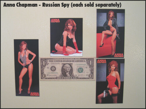 Fridge Fun Refrigerator Magnets JESSICA SIMPSON USA BIKINI - Picture 3 of 7