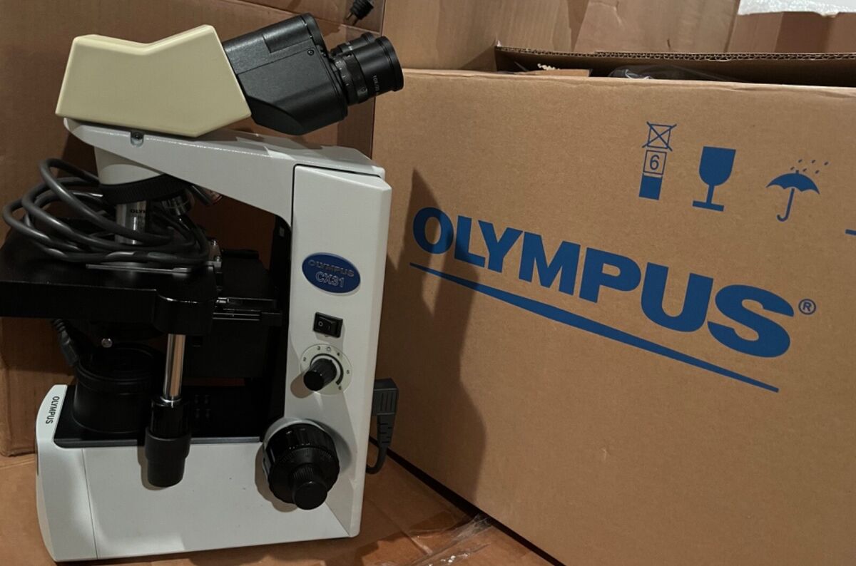 Olympus CX31 Upright Biological Microscope for sale online Olympus CX31 Upright Biological Microscope for sale online