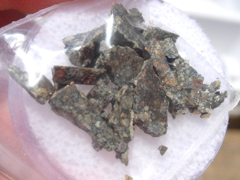 1.29 grams NWA 12263 Meteorite Ordinary Chondrite ( L3 ) fragments with a COA