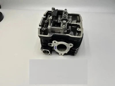Culasse avec support cam pour Triumph Speed 400 Scrambler 400 X - TA511009 - Photo 1/3
