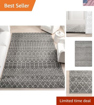 Versatile 2x3 Dark Grey Area Rug - Stain Resistant for Bedroom & Living Spaces