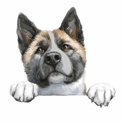 Designer Aufkleber / Sticker Decal Hunde - XL-  American Akita 02