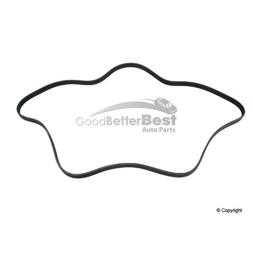 Serpentine Belt Cayenne Cost at Eric Steele blog