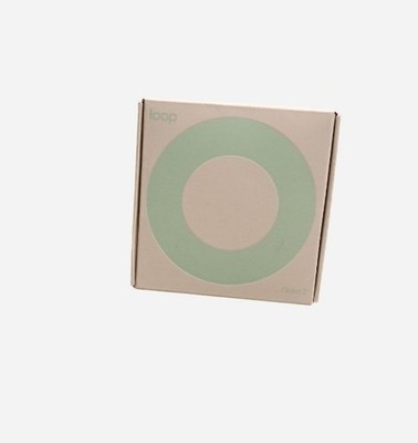 loop quiet 2 earplugs Mint