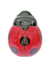 Ceramic Ladybug Hanging