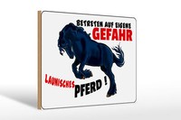 Holzschild Hinweis 30X20 Cm Launisches Pferd Gefahr Holz Deko Schild Wooden Sign