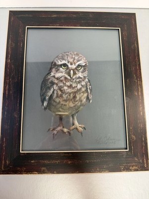 Burrowing Owl