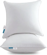 Oubonun 22 X 22 Throw Pillow Inserts (Set of 2) with 100% Cotton Cover - 22 Inch