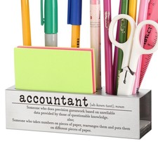 Funny Accountant Appreciation Gifts for Office Decor, Accounting silver
