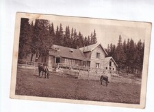 G2420 Postcard Unterberg Schutzhaus Postcard 1922 Lower Austria HORSES PC