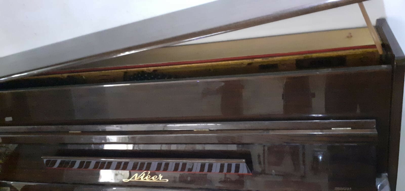 Foto 7 di 10