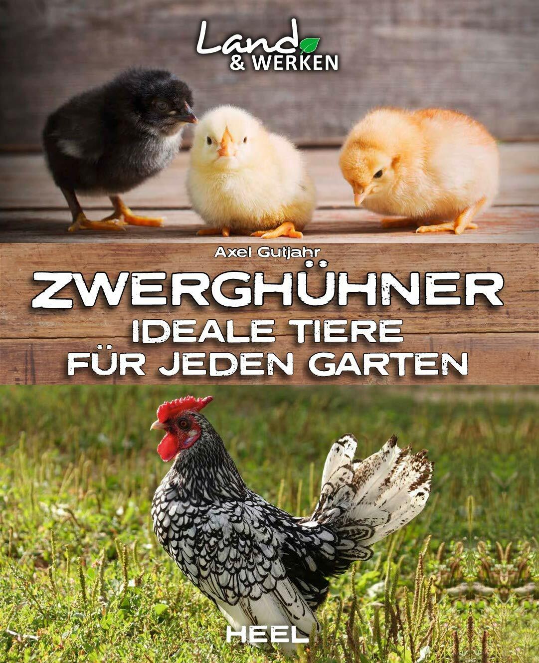 Thumbnail - Zwerghühner Ideale Tiere Für Jeden Garten Hühner Haltung Kleine Rassen