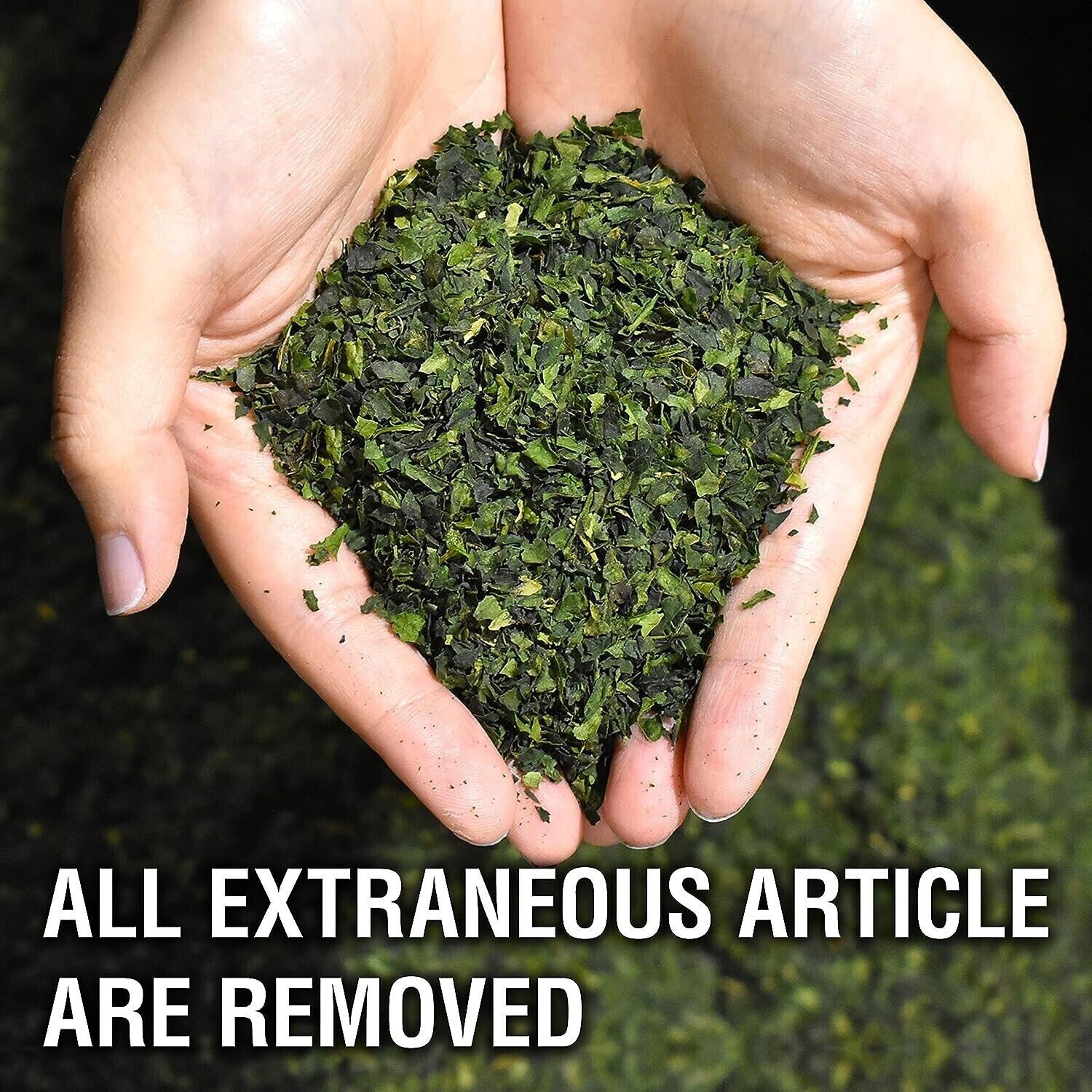 Matcha japonés grado ceremonial, té verde Matcha en polvo, hornear y cocinar