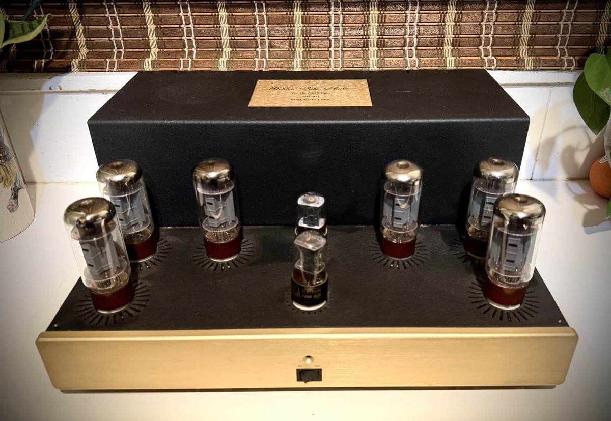 Golden Tube Audio SE-40 Power Amplifier W/ Sonic Craft Upgrade! | eBay
