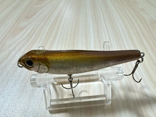Megabass DOG-X Jr COAYU 1998 Fishing Lure #AJ28