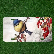 Custom Personalized License Plate Auto Tag With Amazing Bird On Branch Design