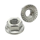 <!--F#f_0-->M12 Flange Nuts Flanged Serrated Hex Nut Stainless Steel 304 Lock Metric SS Kit<!--F/-->