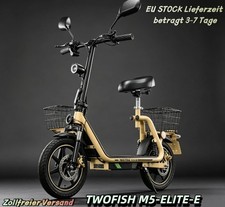 Sitz,Mit Straßenzulassung & EEC 48V 13AH TWOFISH E-Scooter 14" …