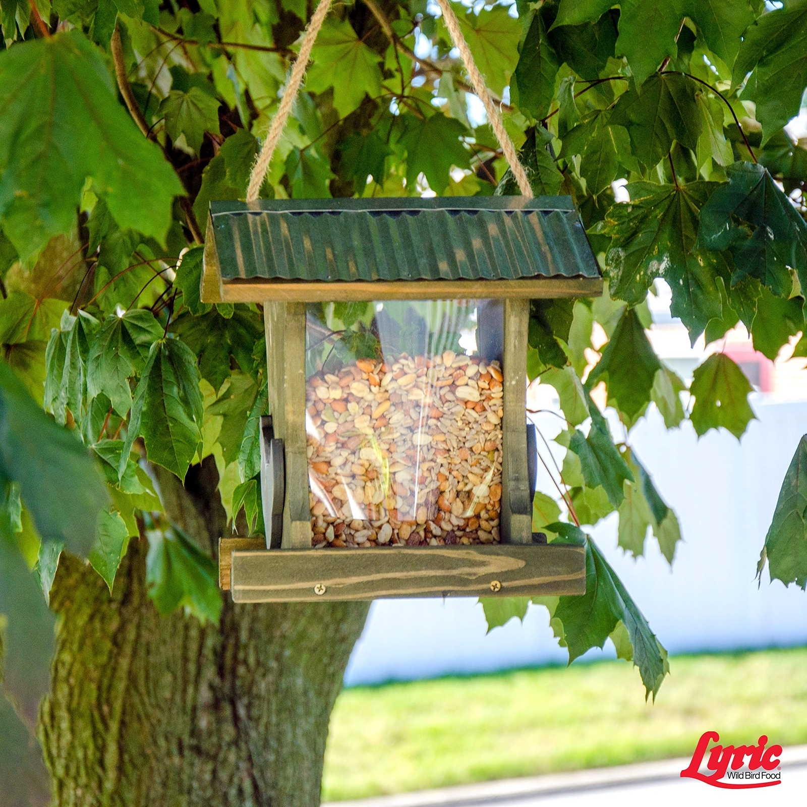 Lyric Delite Wild Bird Seed - No Waste Bird Food Mix with Shell-Free Nuts &