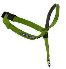 PetSafe Gentle Leader Head Collar for Dogs - Medium Apple