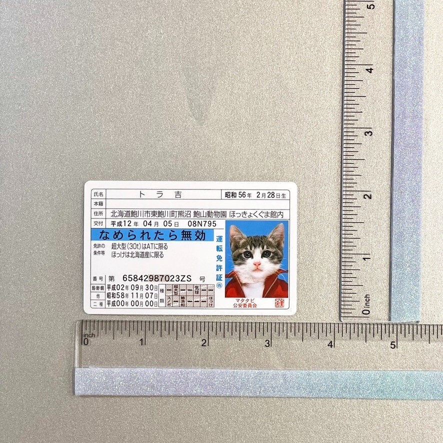 Nameneko Drivers License ID Card Torakichi Cat TCG Card Japan