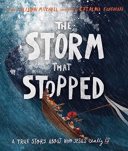 The Storm That Stopped By Alison Mitchell,Catalina Echeverri - Image 3