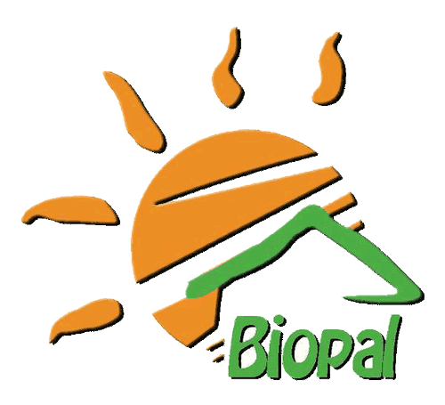 Kaltgepresst BIO Extra natives Olivenöl  5 Liter Spanien Erste Preise  Biopal® - Bild 10 von 11