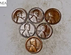 (6) 1921-S Lincoln Wheat Penny Cent Lot/Set ~ Fine/VF ~ ZWL14