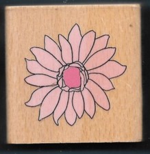TROPICAL FLOWER PETALS BUD Floral Vacation NEW Darice Scrappy Cat RUBBER STAMP