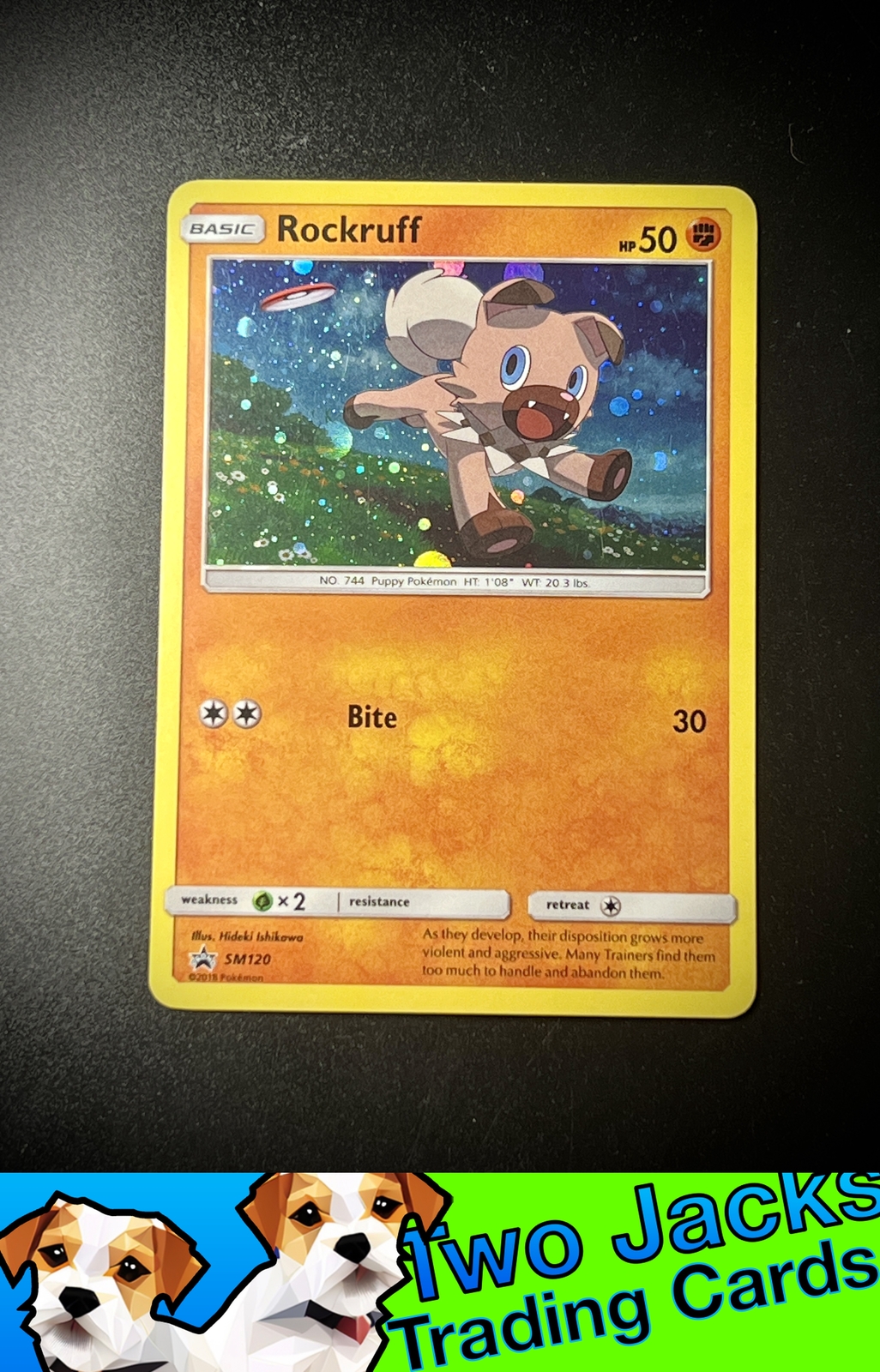 Rockruff #SM120 SM Black Star Promos Cosmos Holo