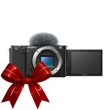 Sony Alpha ZV-E10 APS-C Interchangeable Lens Mirrorless Vlog Camera Body (Black)